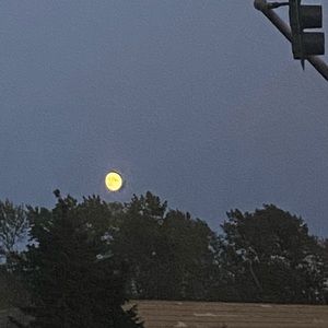 Meet your Posher, Kyle